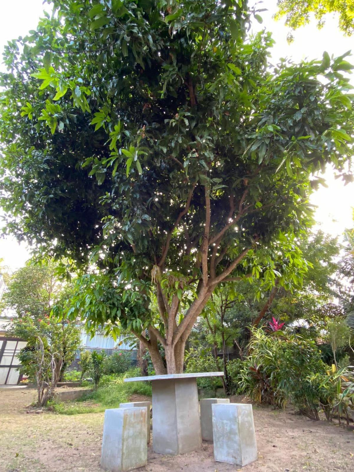 Sujatha Villa Paradise Tangalle Zewnętrze zdjęcie